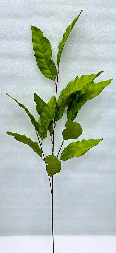 Natural Bay Leaf Stick